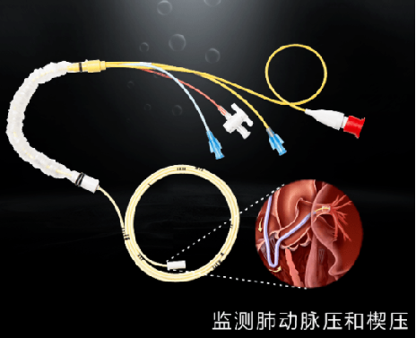 尊时凯龙·(中国区)人生就是搏!