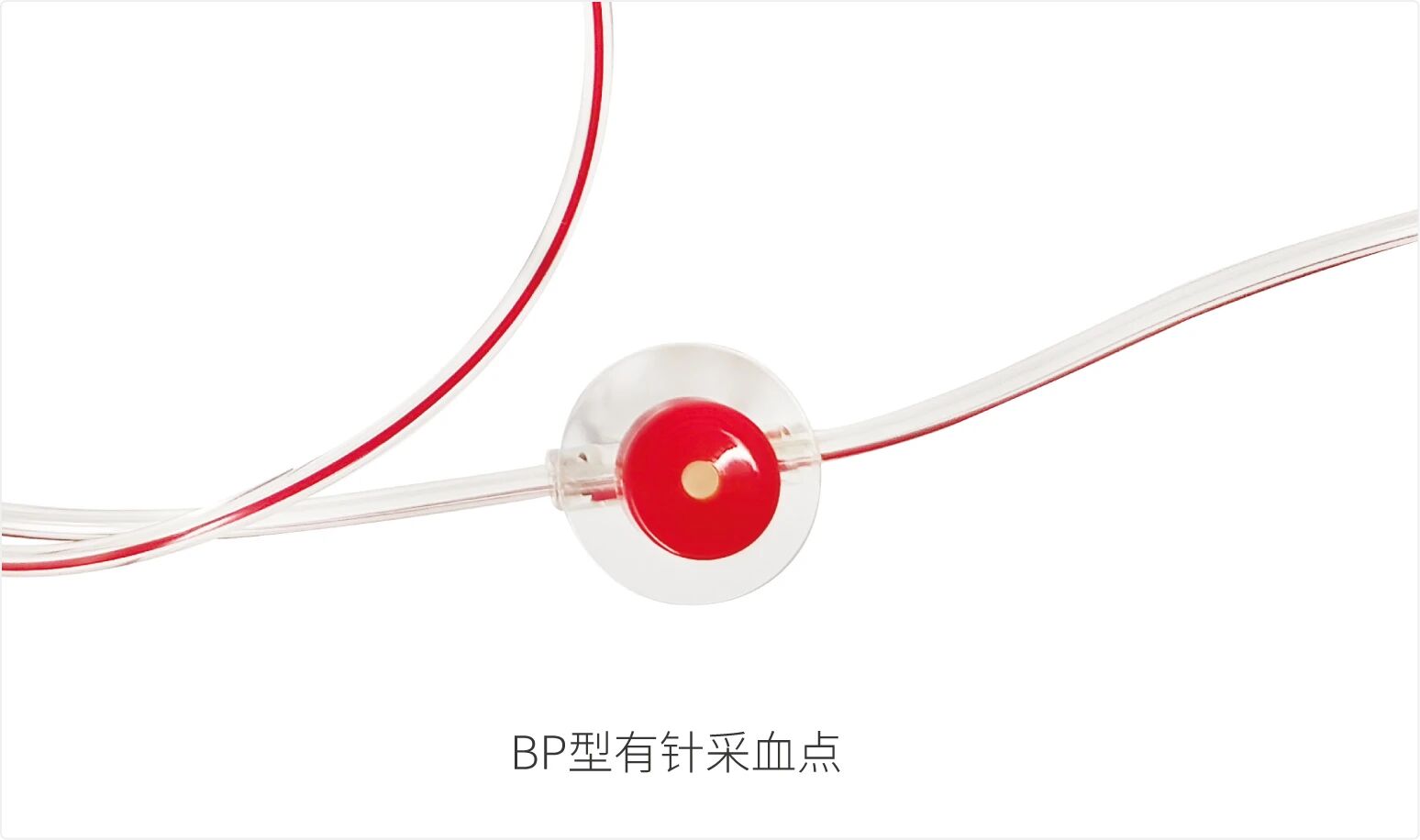 尊时凯龙·(中国区)人生就是搏!